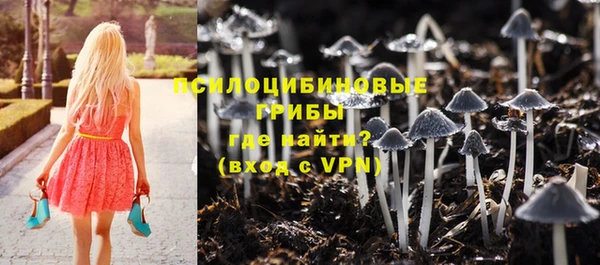 2c-b Белокуриха