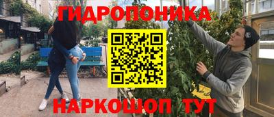 соль ск Новокубанск